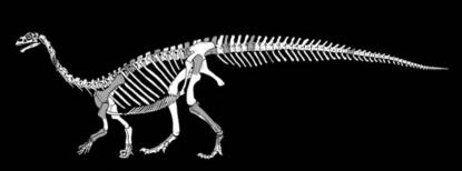 Sefapanosaurus